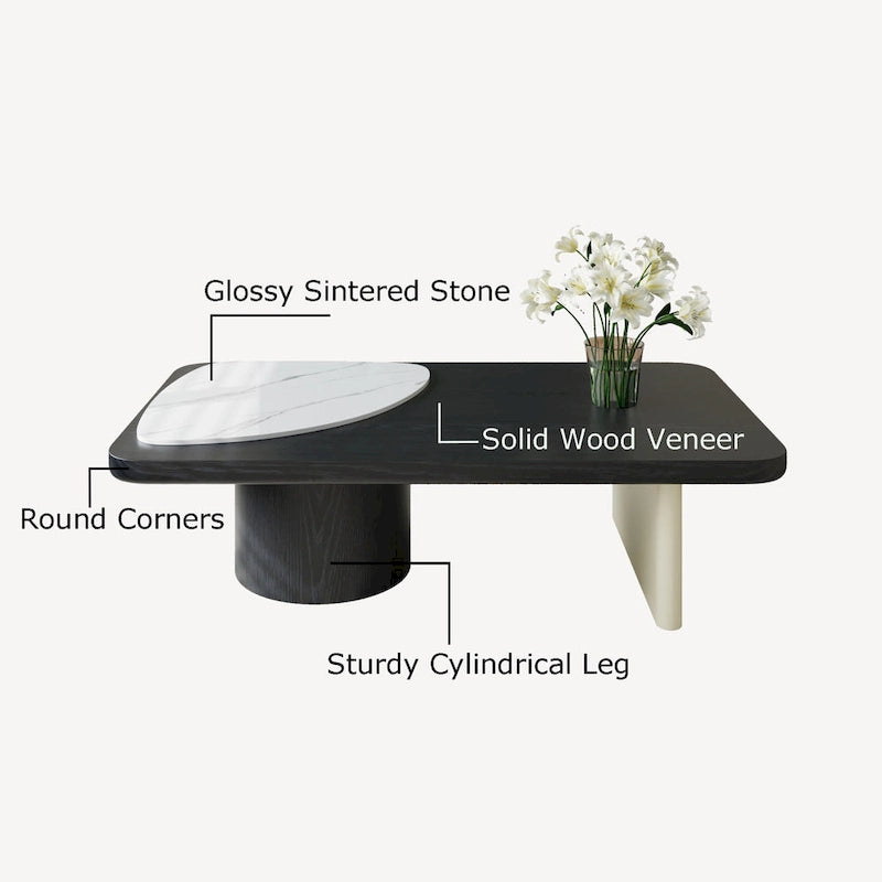 51  Modern Wood Coffee Table,Retangular Black Living Room Table