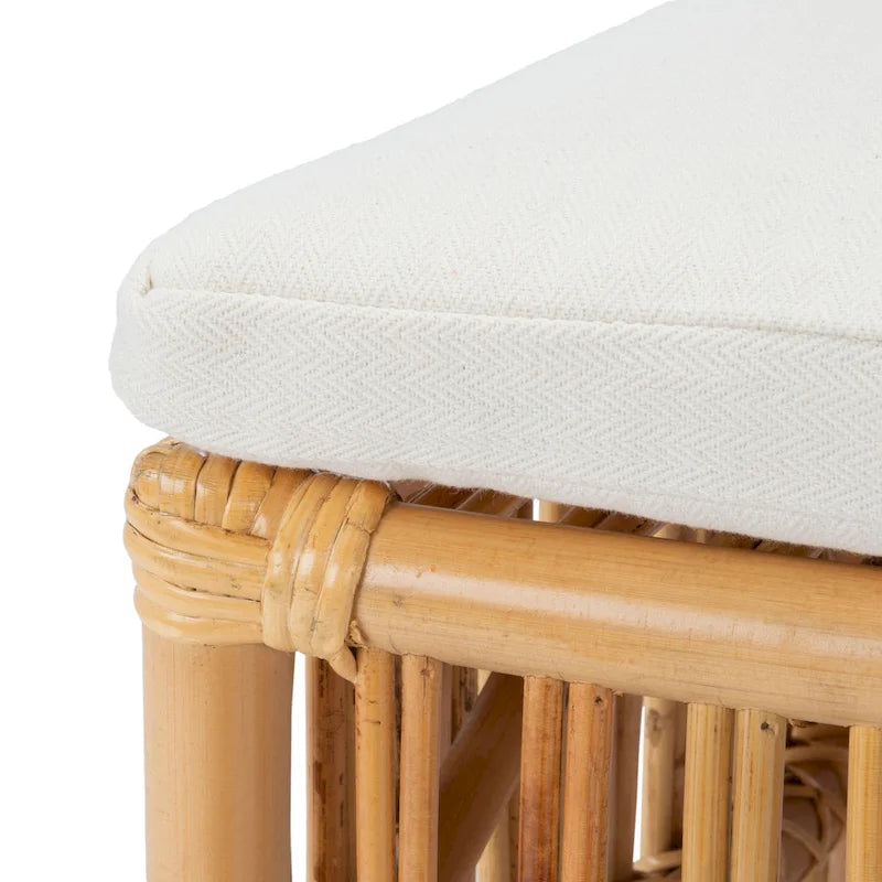 SAFAVIEH Patty Rattan Accent Chair with Cushion (Set of 2) - 19.7  W x 22.1  L x 35.4  H - 20Wx22Dx35H