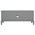 SAFAVIEH Caitlyn 2 Door 1 Shelf Media Stand - 47  W x 16  D x 20  H - 47Wx16Dx20H