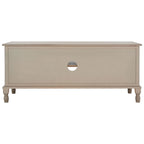 SAFAVIEH Caitlyn 2 Door 1 Shelf Media Stand - 47  W x 16  D x 20  H - 47Wx16Dx20H