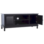 SAFAVIEH Caitlyn 2 Door 1 Shelf Media Stand - 47  W x 16  D x 20  H - 47Wx16Dx20H